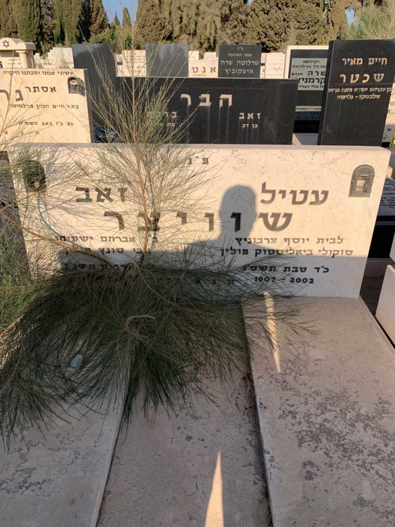 קברו של זאב שוויצר. תמונה 1