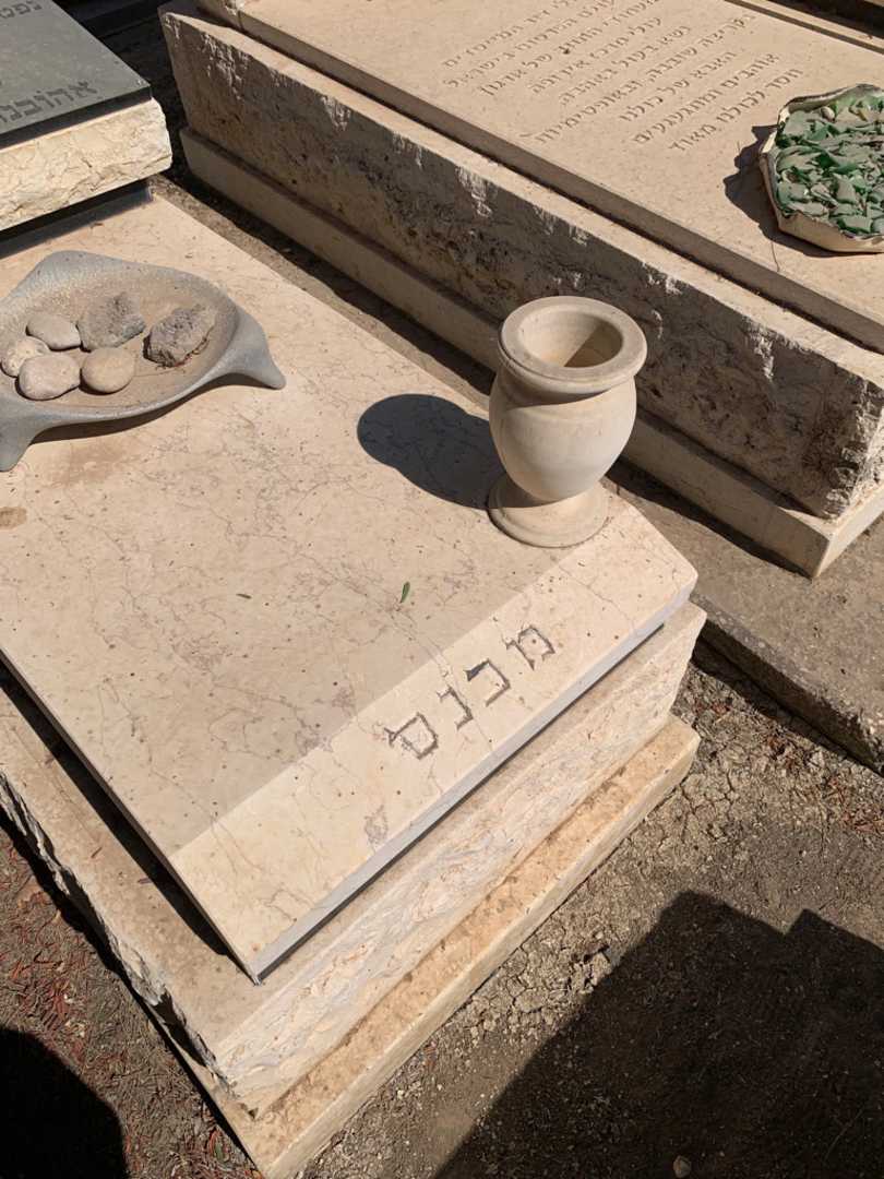 קברו של ידין "זאב" מכנס. תמונה 3