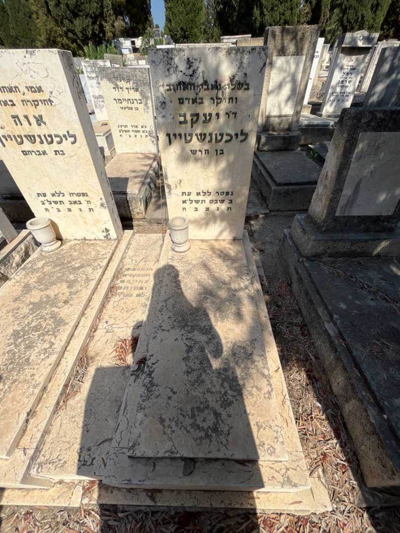 קברו של עיקב ליכטנשטיין. תמונה 1