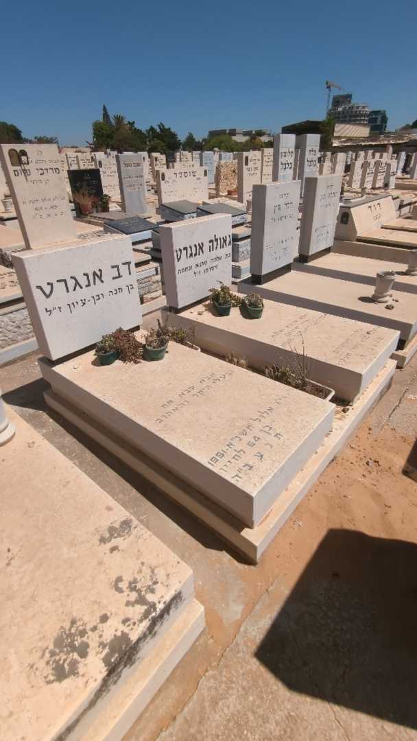 קברו של גאולה אנגרט. תמונה 2