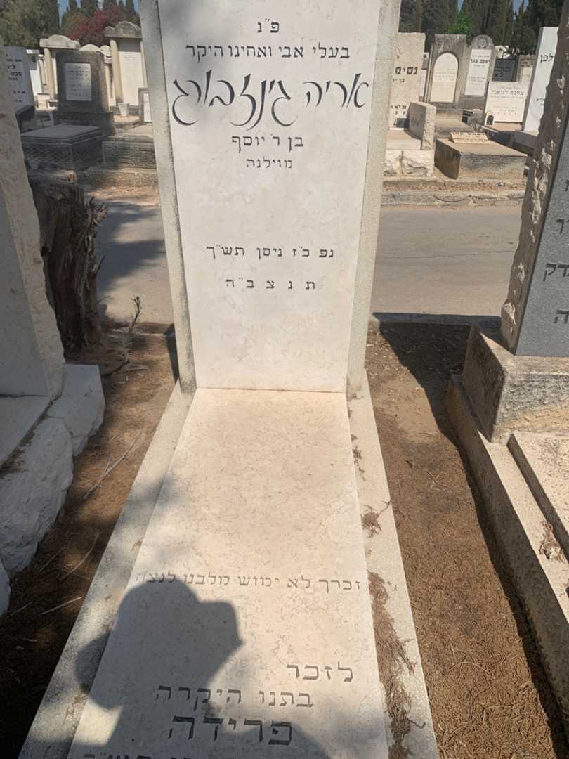 קברו של אריה גינזבורג
