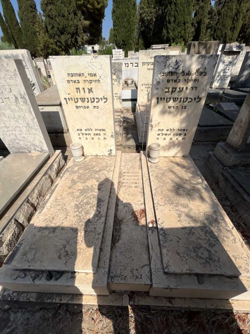 קברו של עיקב ליכטנשטיין. תמונה 2