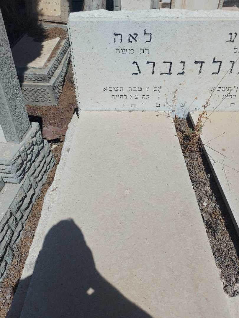 קברו של לאה גולדנברג. תמונה 1