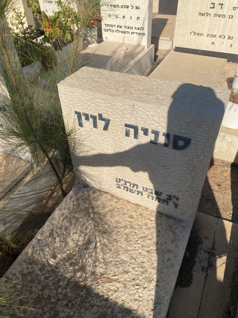 קברו של סוניה לוין. תמונה 1