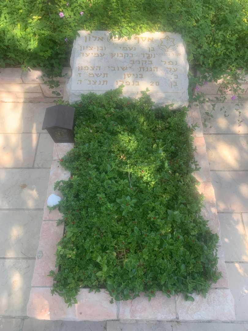 קברו של אסף "שלמה" אלון