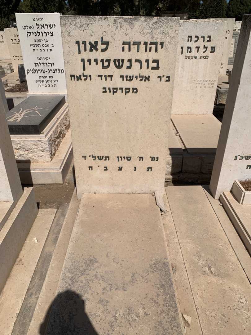 קברו של יהודה לאון בורנשטיין. תמונה 2