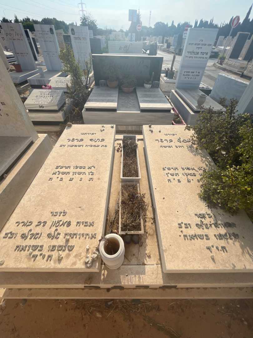 קברו של בתיה ברגר. תמונה 1