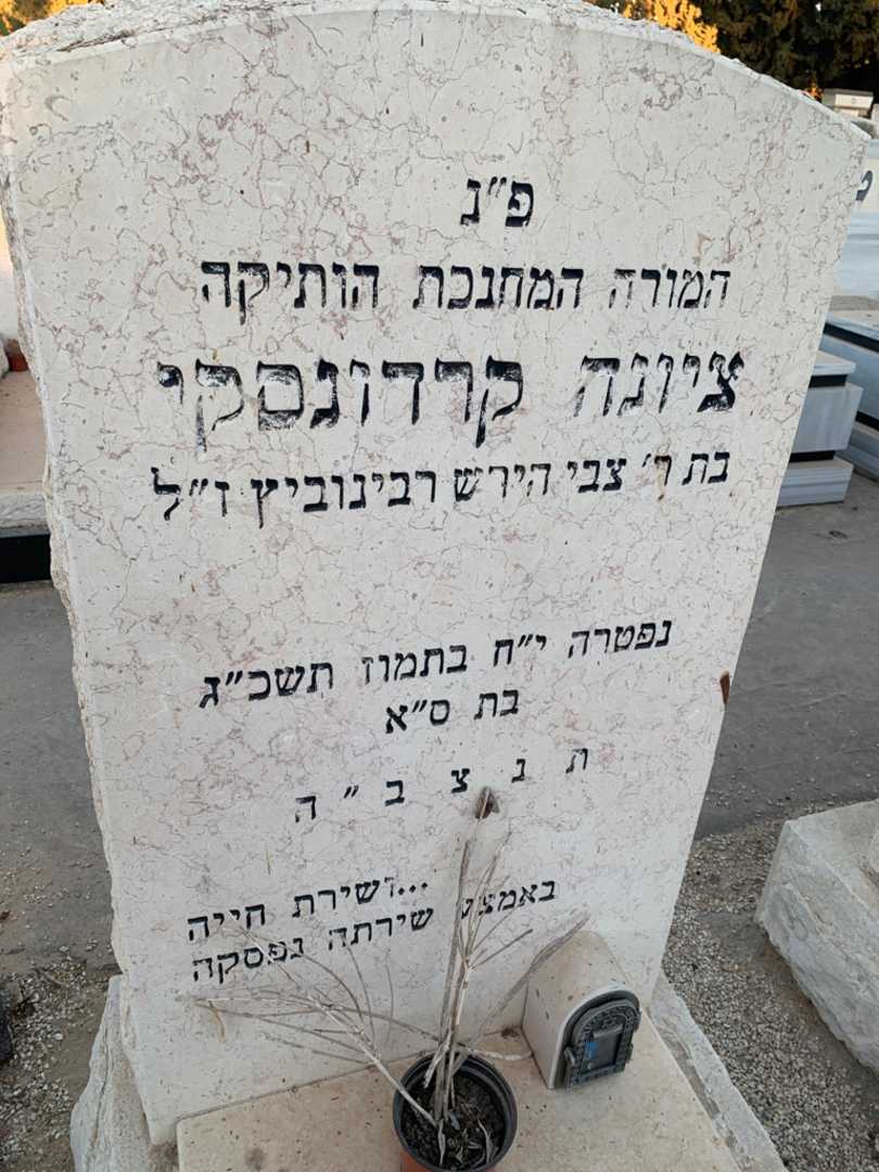 קברו של ציונה קרדונסקי. תמונה 3