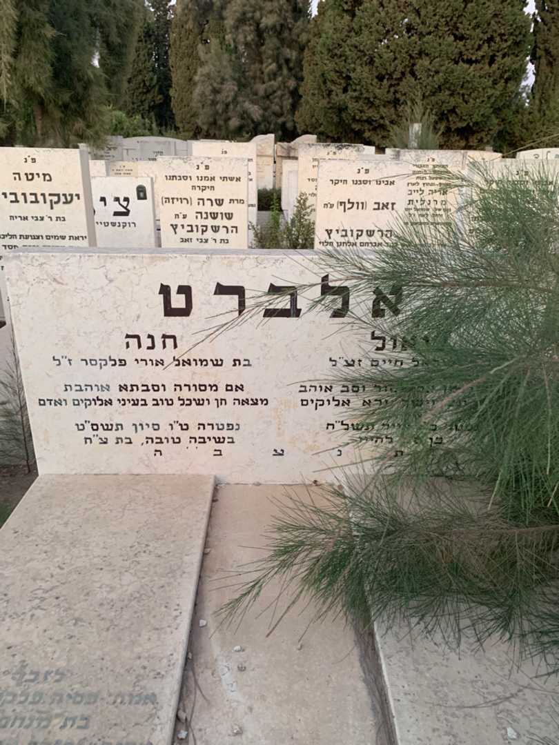 קברו של שאול אלברט. תמונה 1