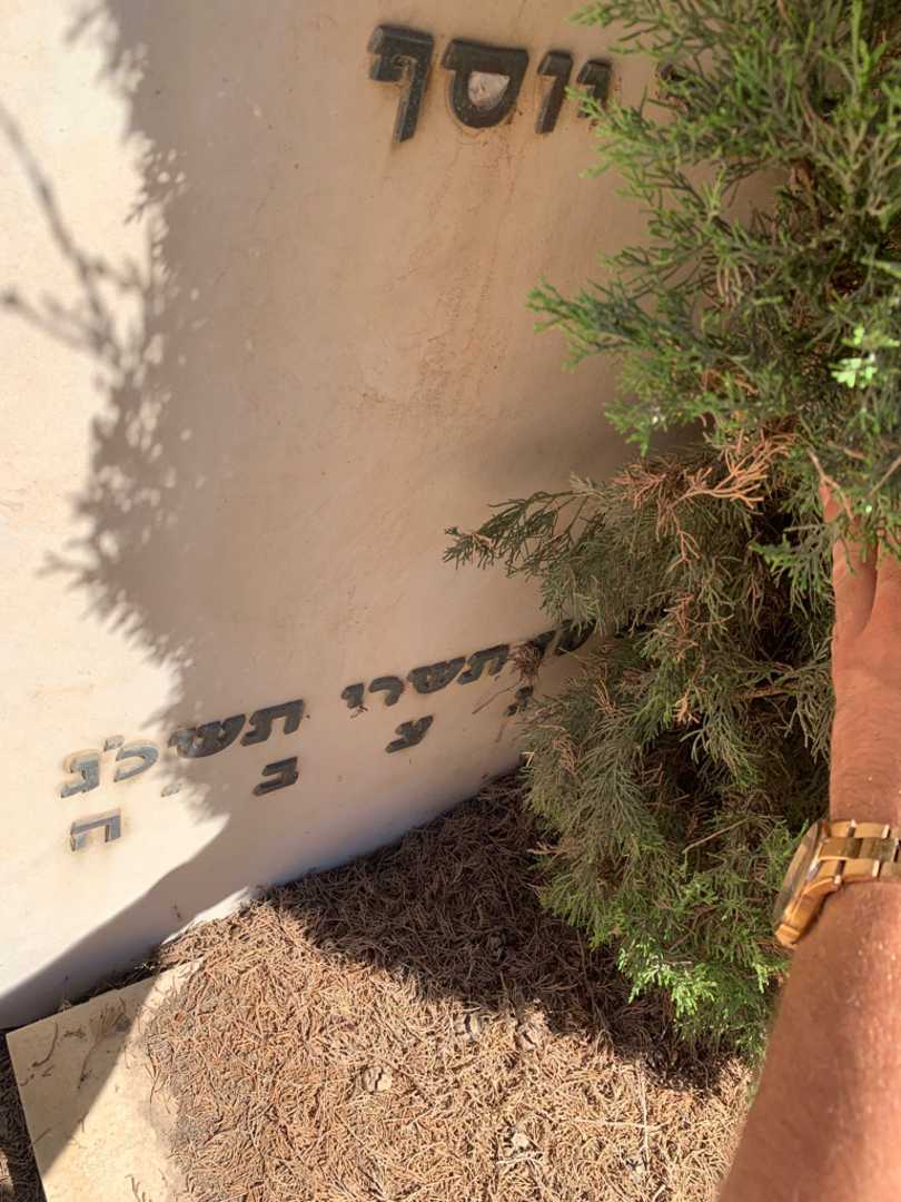 קברו של יהודית סקוטלסקי. תמונה 3