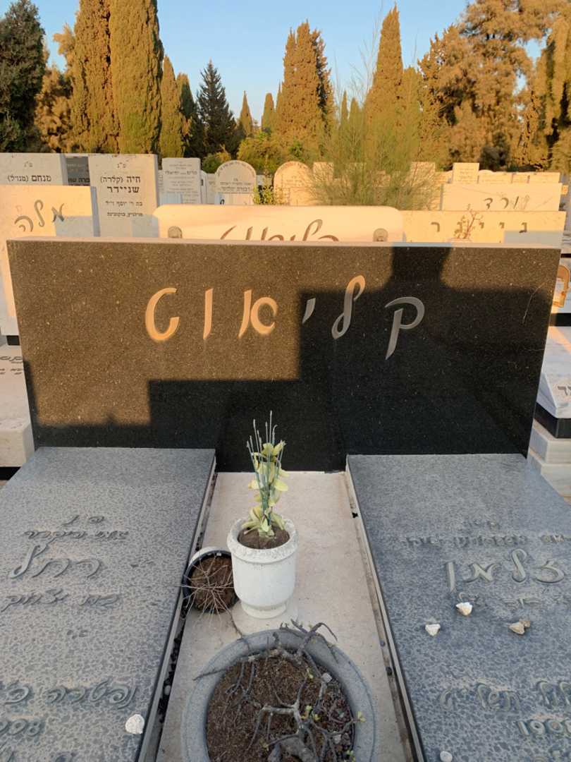 קברו של זלמן קליאוט. תמונה 1