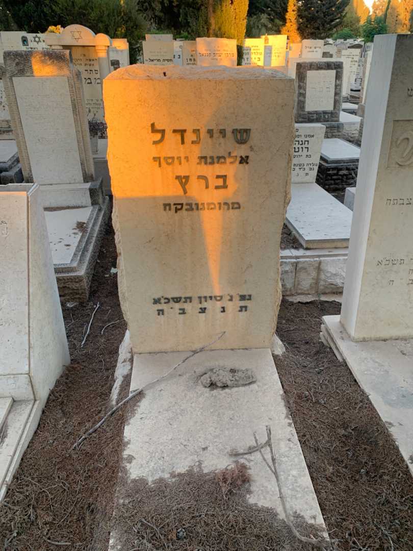 קברו של שיינדל ברץ. תמונה 1