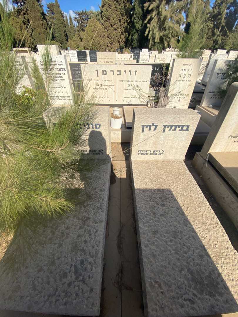 קברו של סוניה לוין. תמונה 2