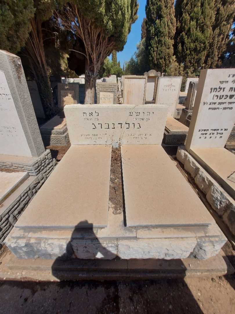 קברו של לאה גולדנברג. תמונה 2