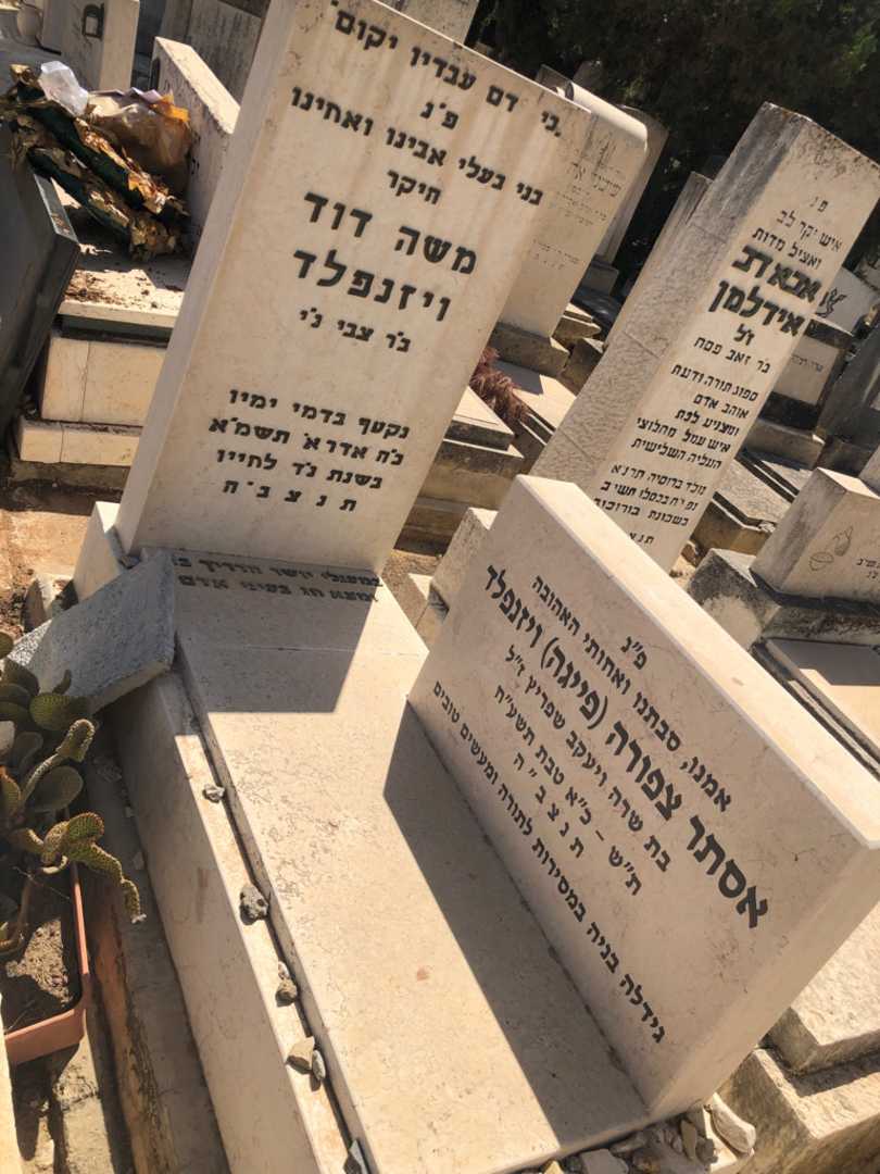 קברו של אסתר צפורה פייגה ויזנפלד