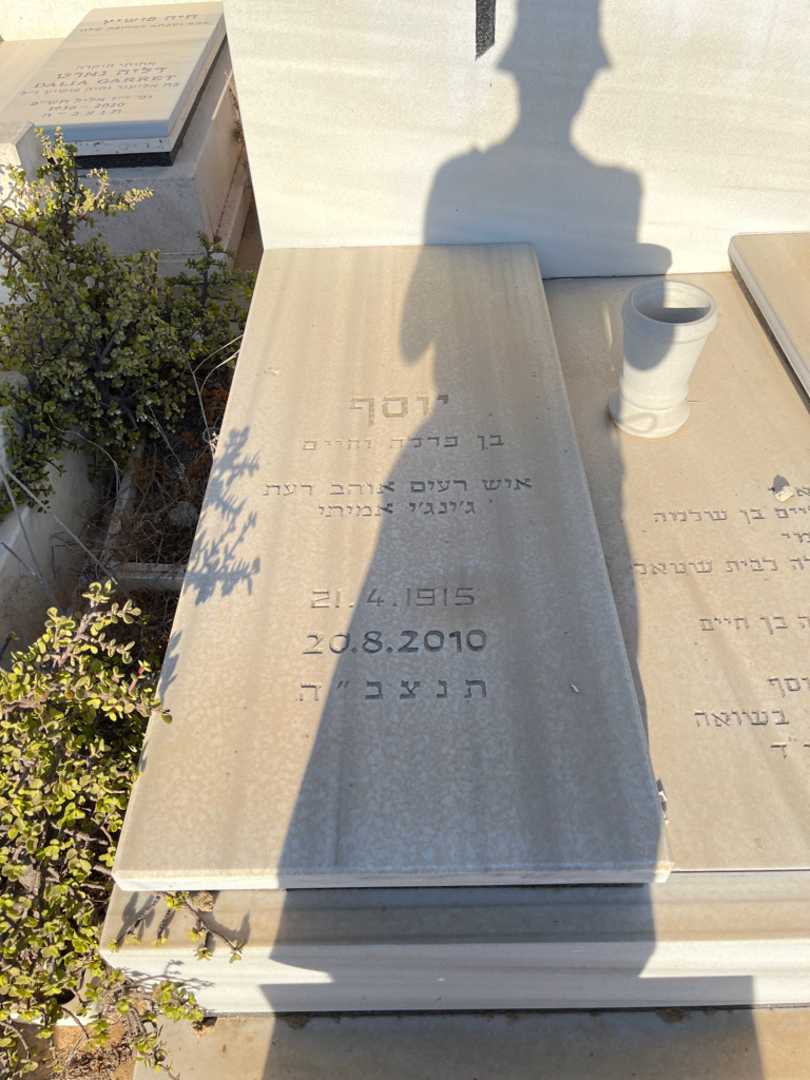 קברו של יוסף שיין. תמונה 1