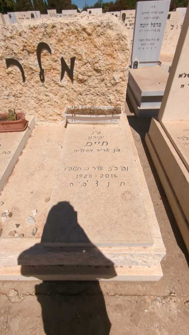 קברו של חיים מלר. תמונה 1