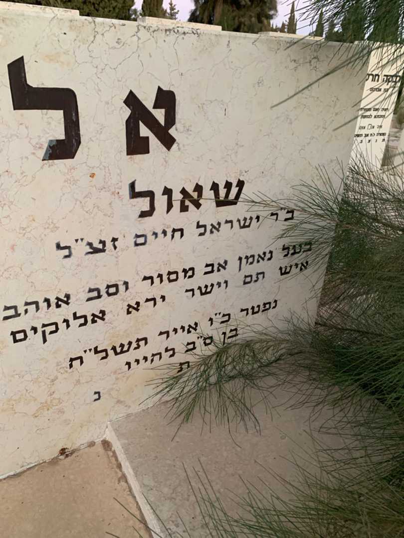 קברו של שאול אלברט. תמונה 3