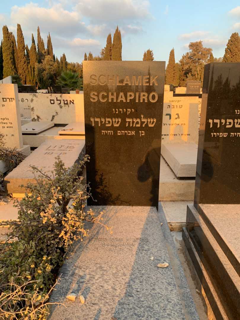 קברו של שלמה שפירו