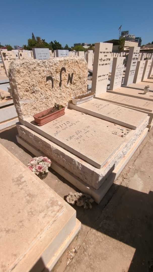 קברו של חיים מלר. תמונה 2