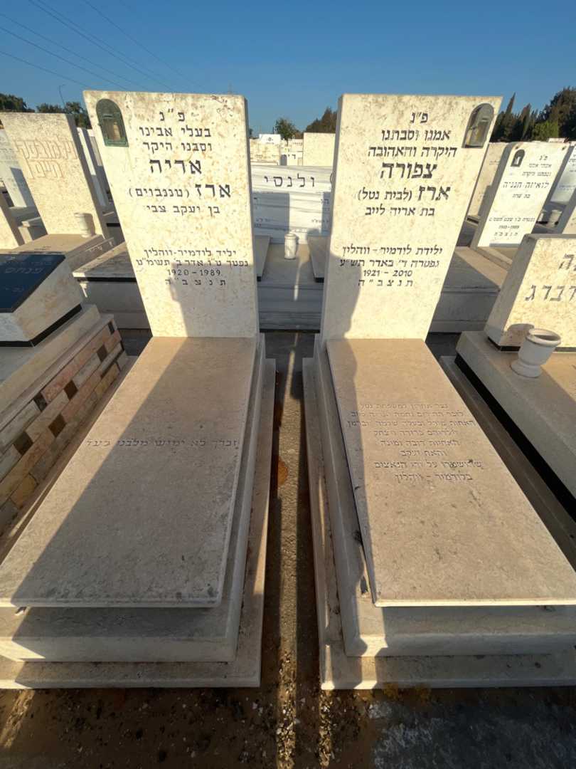 קברו של אריה "טננבוים" ארז. תמונה 1