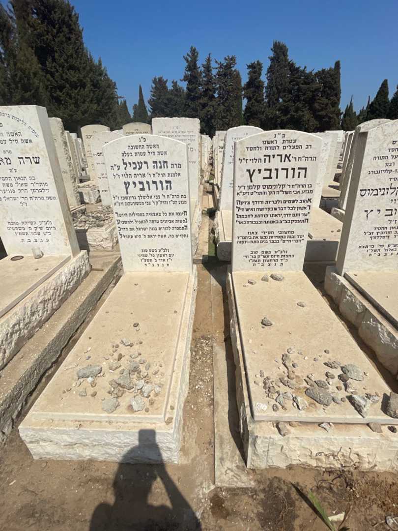 קברו של אריה "הלוי" הורוביץ. תמונה 1