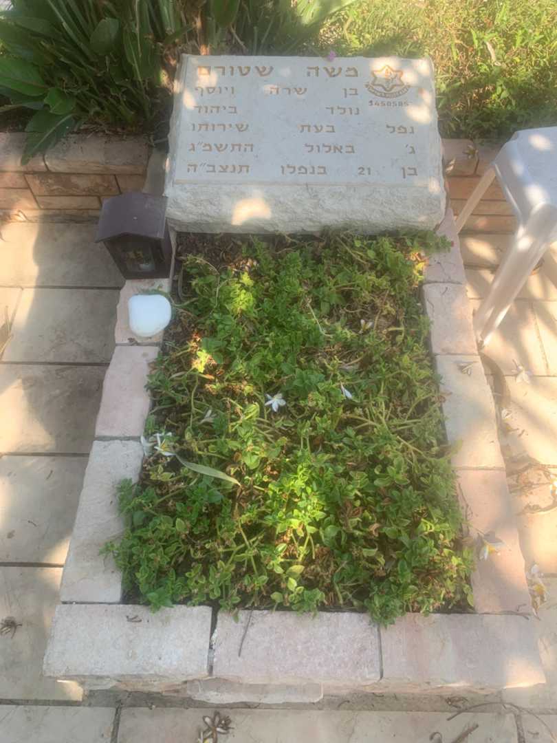 קברו של משה שטורם