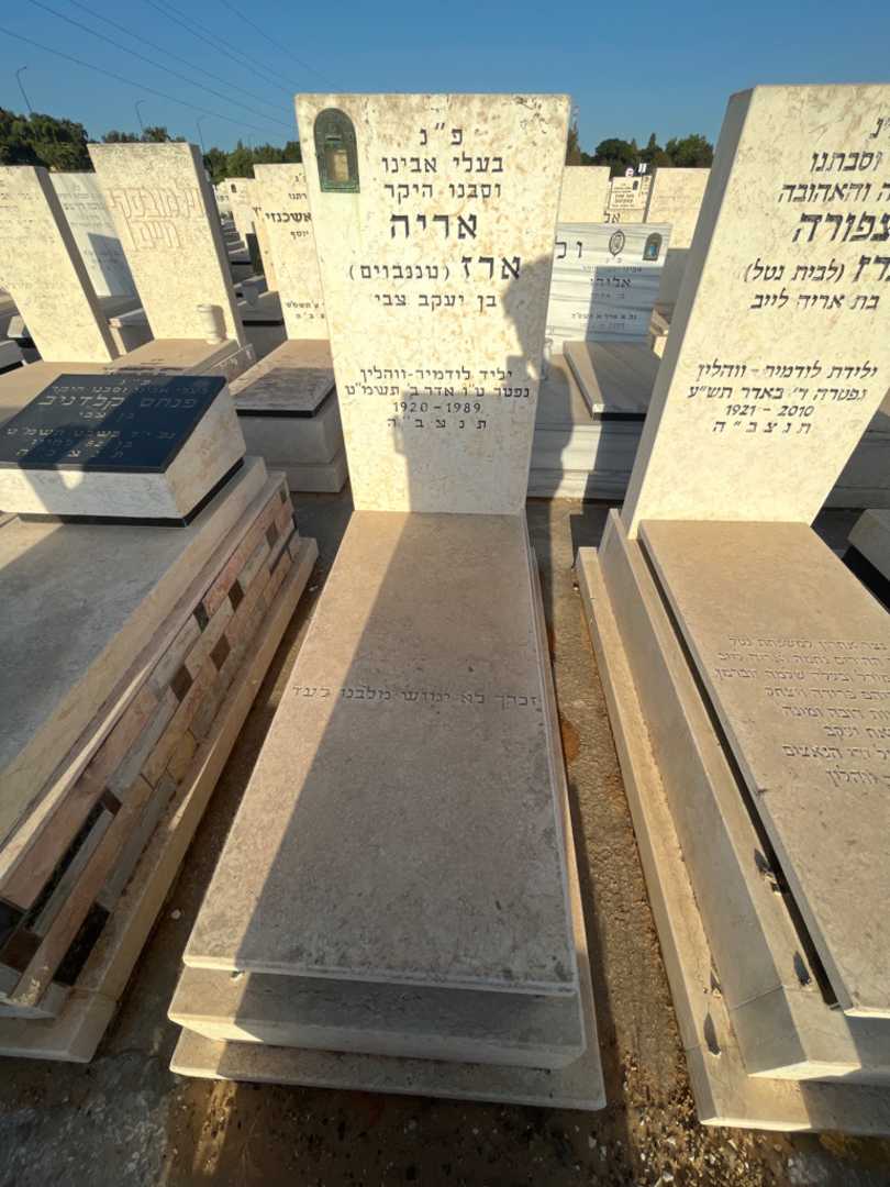 קברו של אריה "טננבוים" ארז. תמונה 2