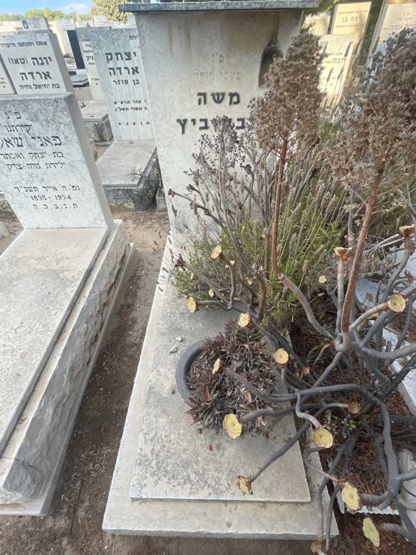 קברו של משה לבקוביץ. תמונה 1