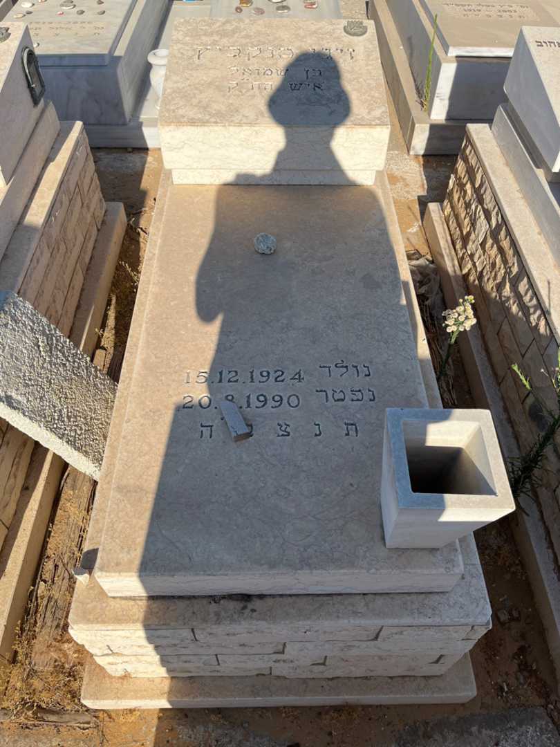 קברו של זיגי טנקכיץ