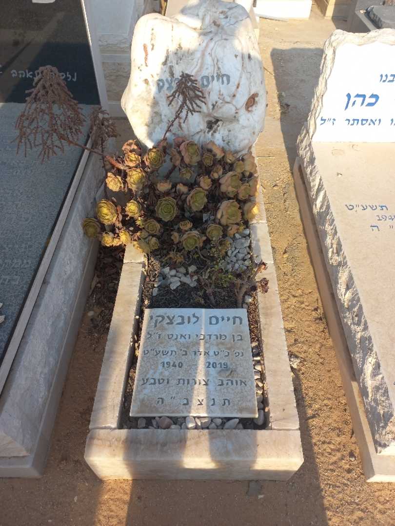 קברו של חיים לובצקי