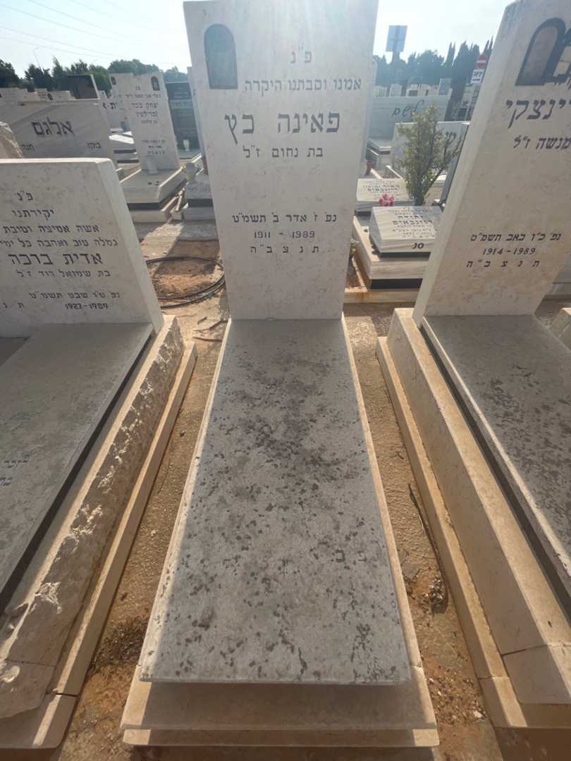 קברו של פאינה כץ