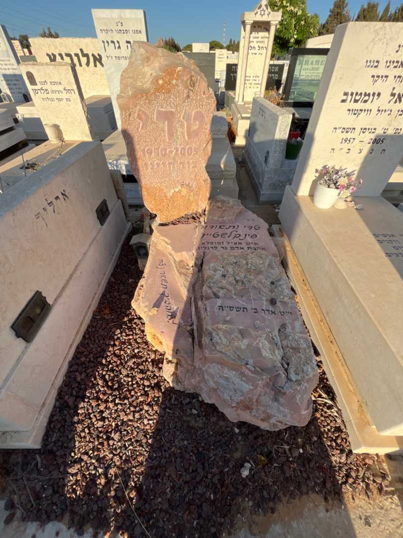 קברו של טדי "תאודור" פינקלשטיין
