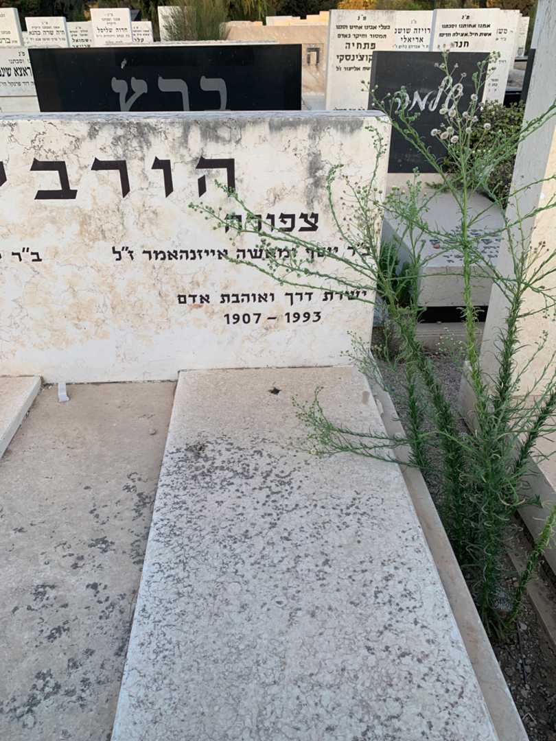 קברו של צפורה הורביץ. תמונה 2