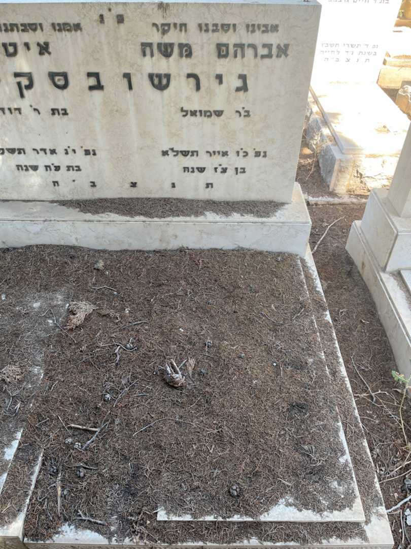 קברו של אברהם משה גירשובסקי. תמונה 2