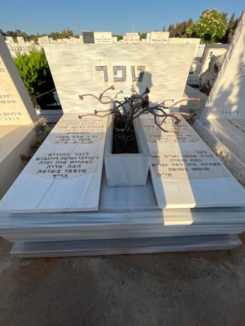 קברו של אריה טפר. תמונה 1
