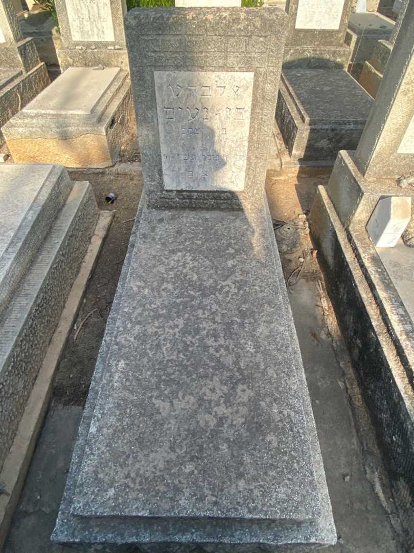 קברו של אלברט בן-נעים