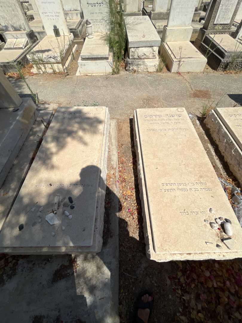 קברו של שושנה סירקיס. תמונה 2
