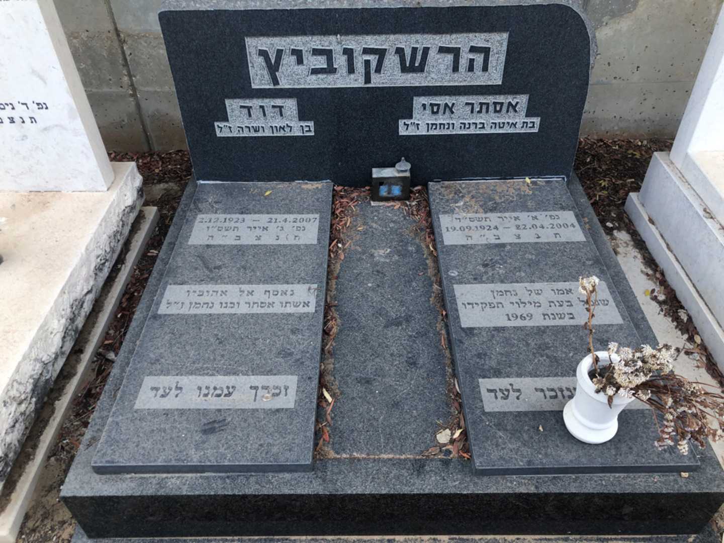 קברו של דוד הרשקוביץ. תמונה 1