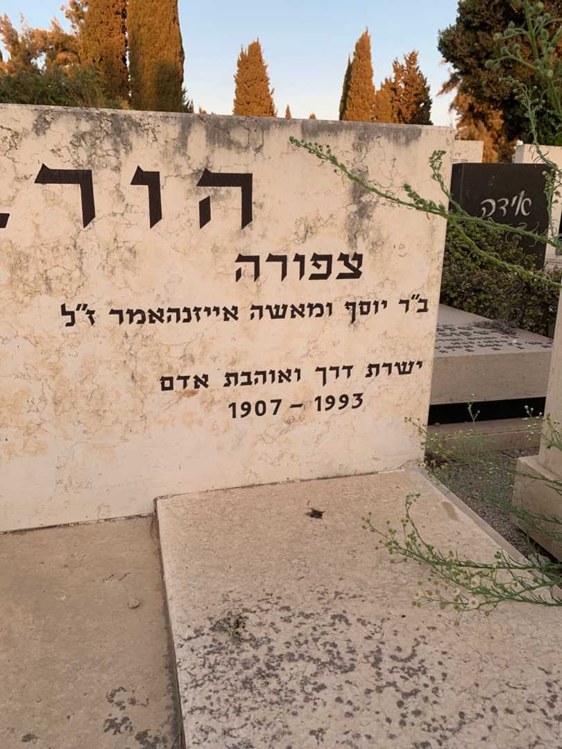 קברו של צפורה הורביץ. תמונה 3