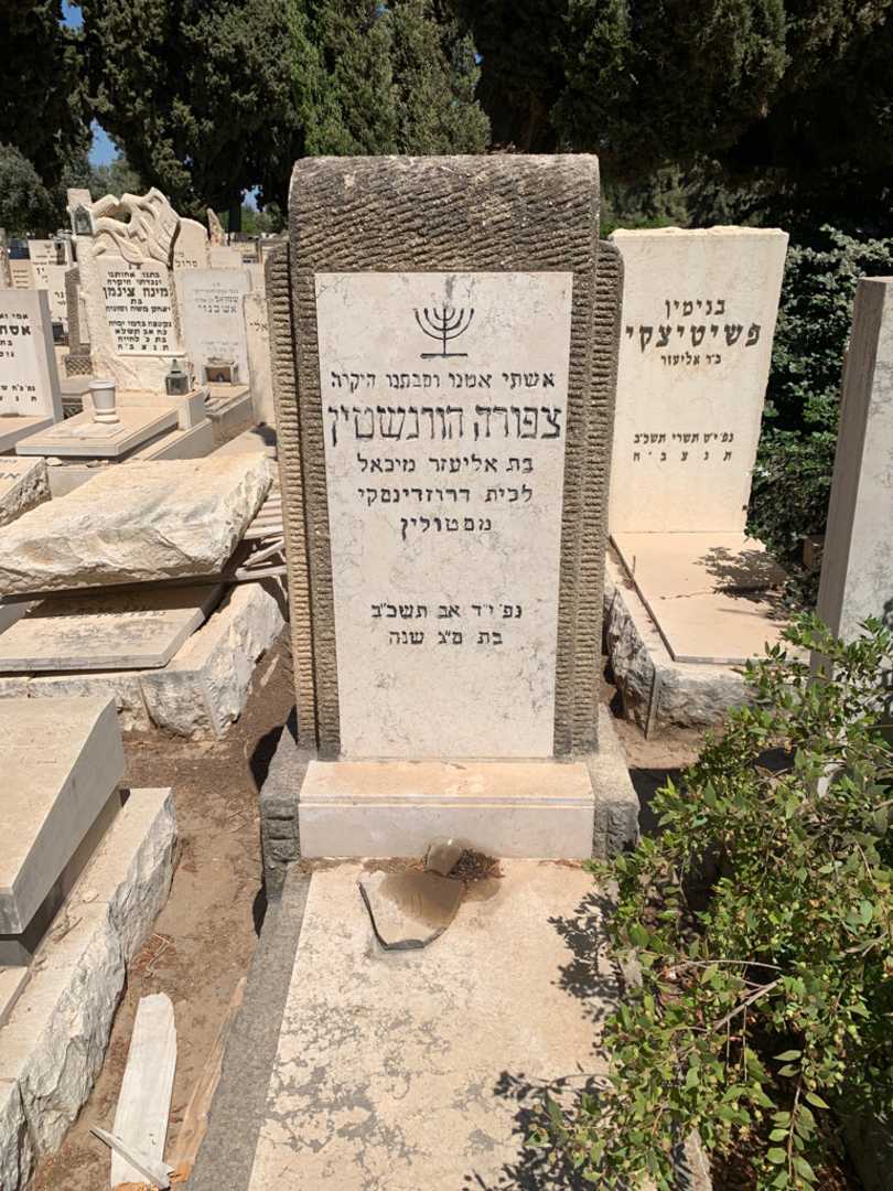 קברו של צפורה הורנשטין. תמונה 1