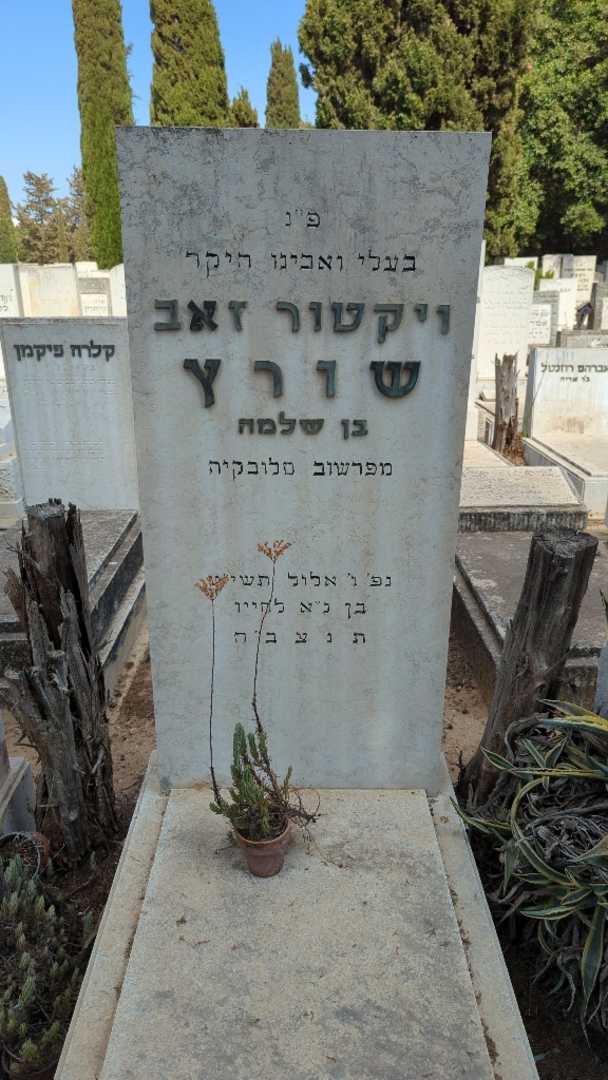 קברו של ויקטור זאב שורץ