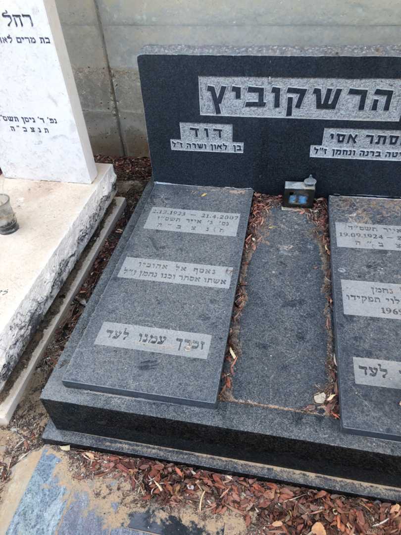 קברו של דוד הרשקוביץ. תמונה 2