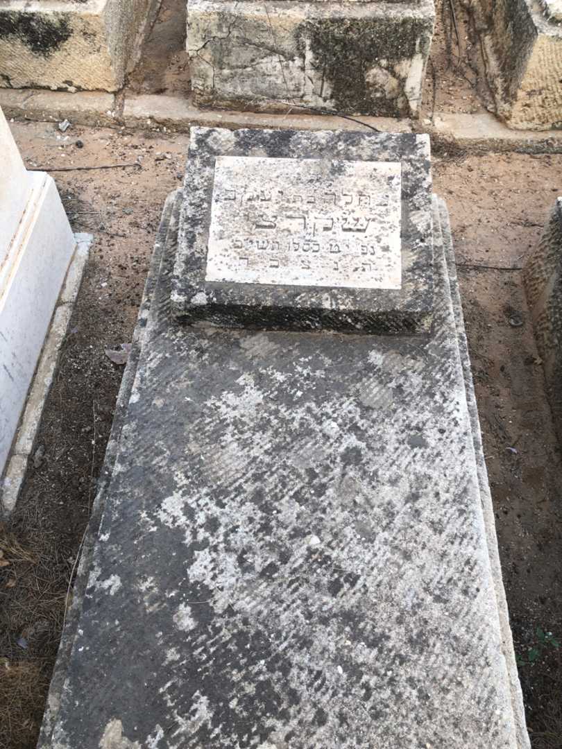 קברו של צחלה שקרצי