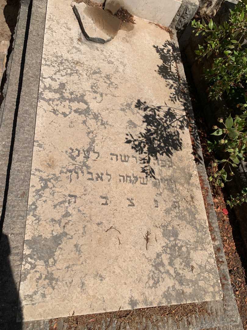 קברו של צפורה הורנשטין. תמונה 2