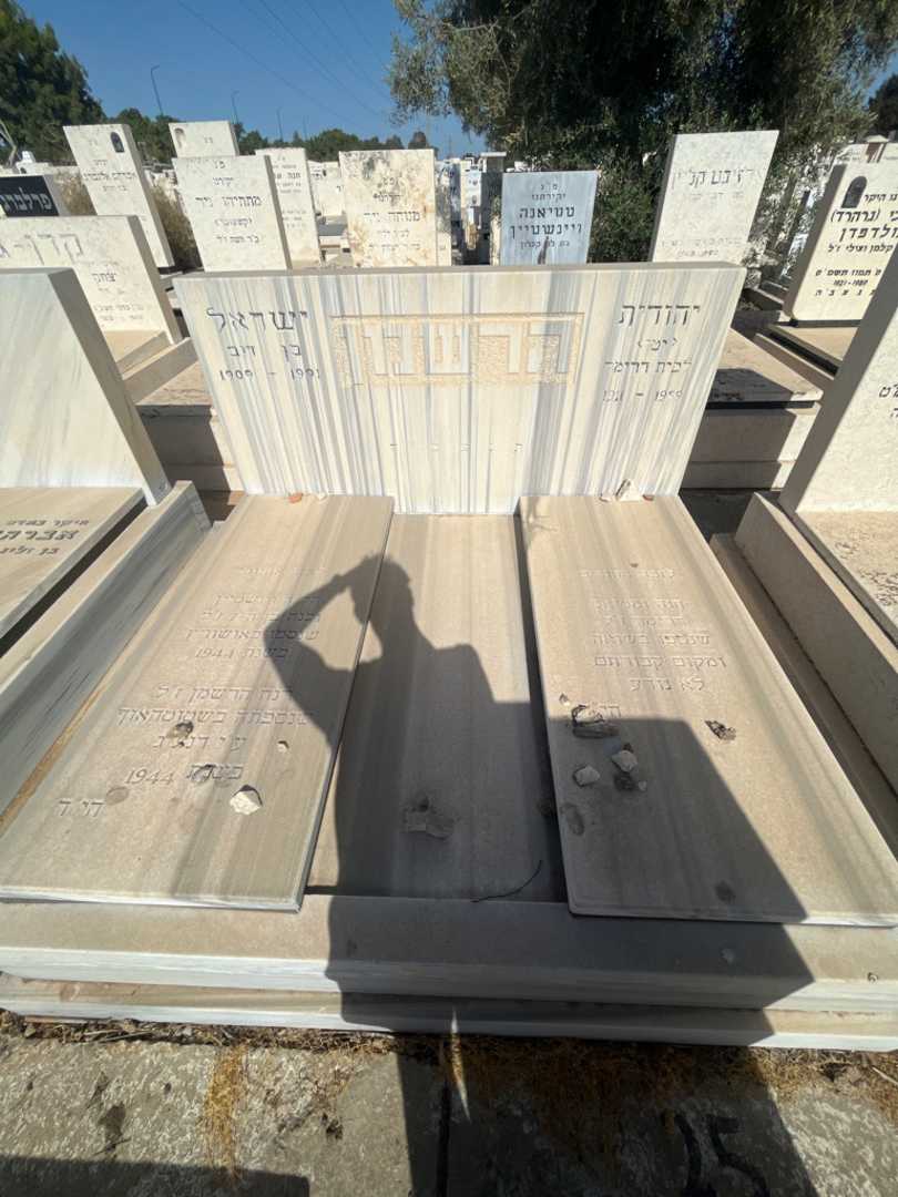 קברו של חנה דרימר. תמונה 2