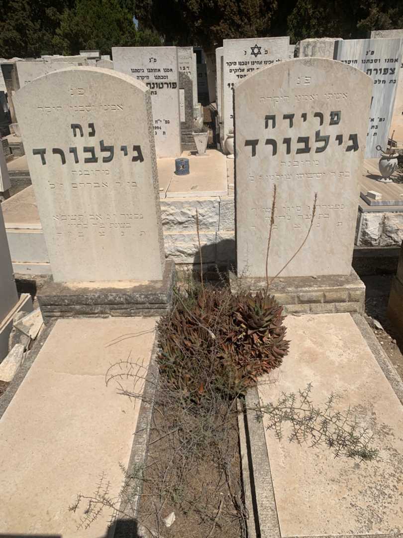 קברו של פרידה גילבורד. תמונה 2