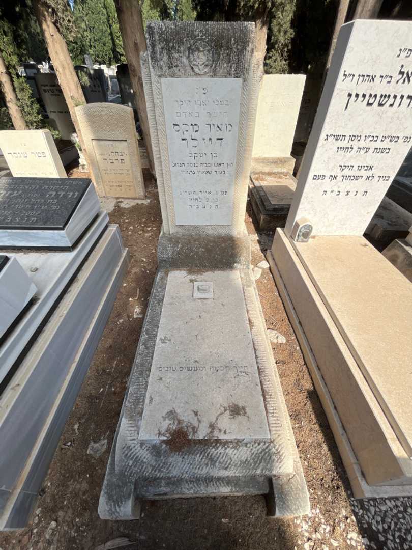 קברו של מאיר מקס דיילר