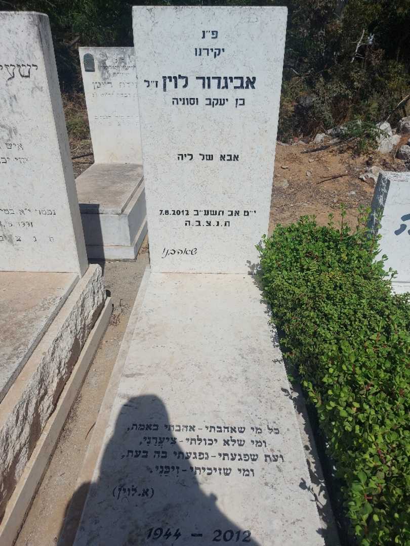 קברו של אביגדור לוין