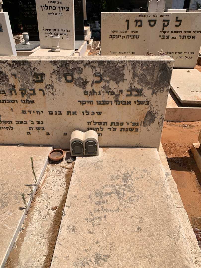 קברו של צבי כספי. תמונה 2